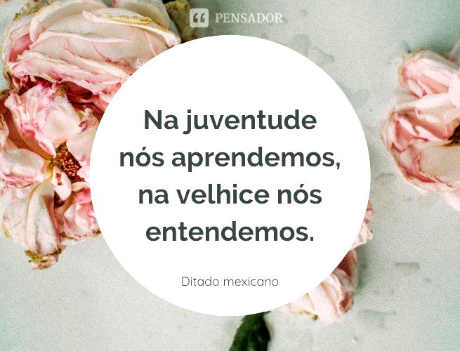 Os 45 ditados populares mais conhecidos e seus significados - Pensador