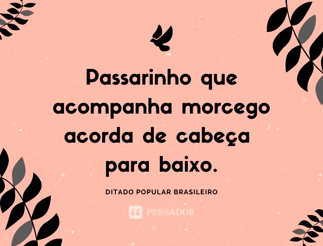 Os 45 ditados populares mais conhecidos e seus significados - Pensador