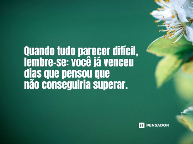 Quando tudo parecer difícil, lembre-se: você já venceu dias que pensou que não conseguiria superar.