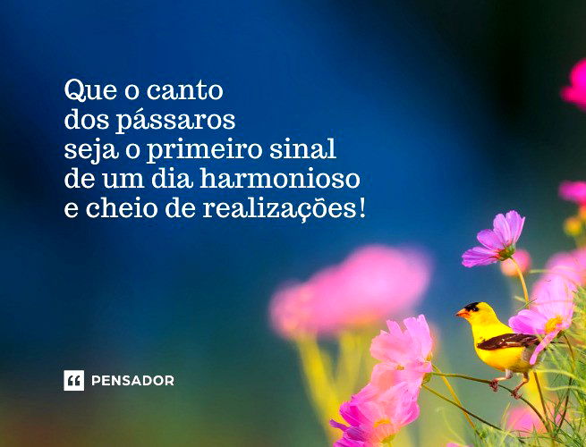 Que o canto dos pássaros seja o primeiro sinal de um dia harmonioso e cheio de realizações!