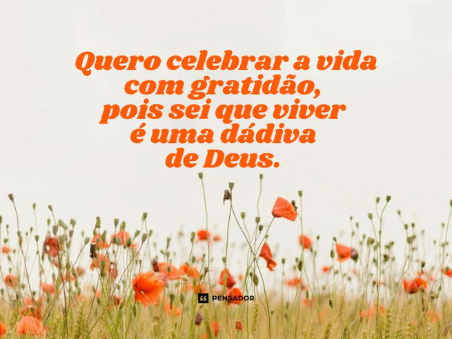 Quero celebrar a vida com gratidão!