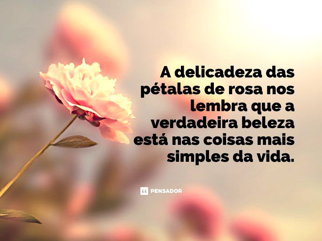 A delicadeza das pétalas de rosa nos lembra que a verdadeira beleza está nas coisas mais simples da vida.