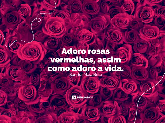 Adoro rosas vermelhas, assim como adoro a vida. Sandra Maia Brito