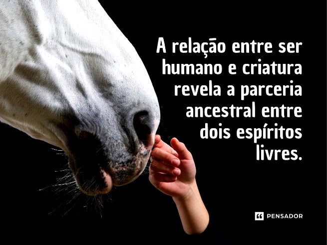 Frases com Cavalos