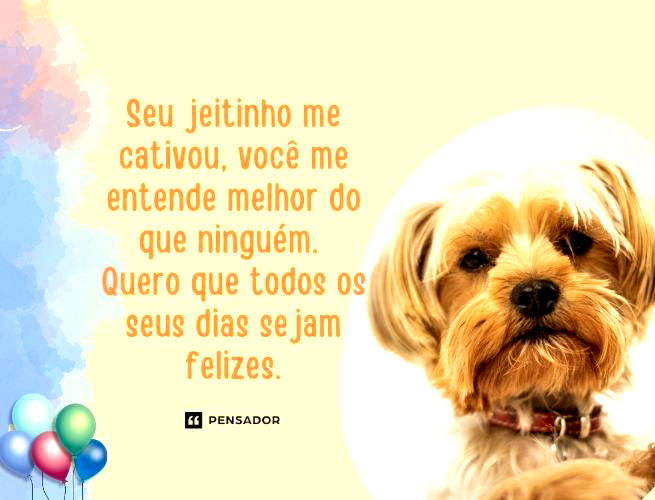 Seu jeitinho me cativou, você me entende melhor do que ninguém. Quero que todos os seus dias sejam felizes.