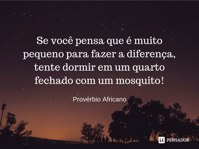 proverbio africano - se você pensa que