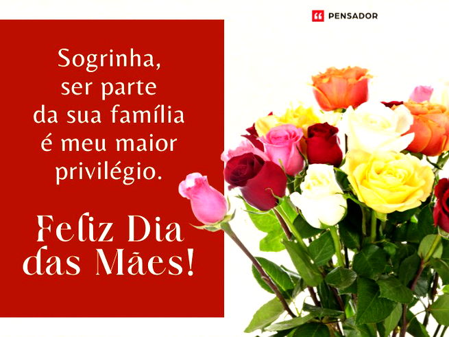 Sogrinha, ser parte da sua família é meu maior privilégio. Feliz Dia das Mães!