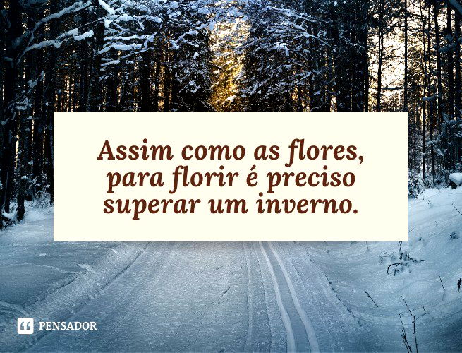 53 frases sobre florescer para refletir e encontrar motivação - Pensador