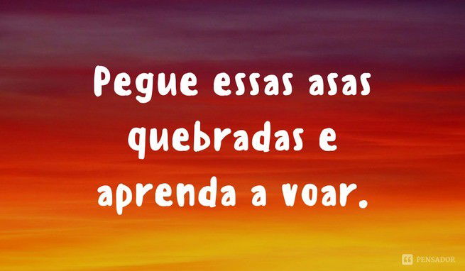Pegue essas asas quebradas e aprenda a voar.