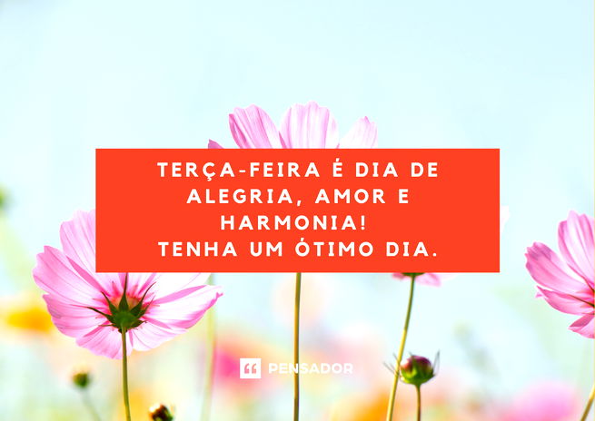 Terça-feira é dia de alegria, amor e harmonia! Tenha um ótimo dia.