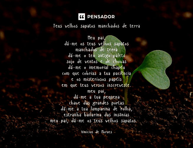 Poema, Poesia e Prosa Poética - Imprimir Caça Palavras