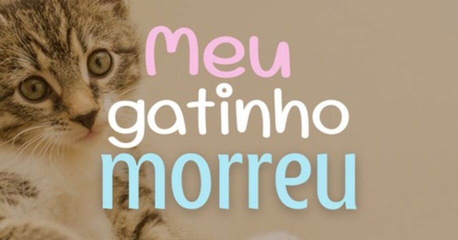 Sua vida gatinho de gente!