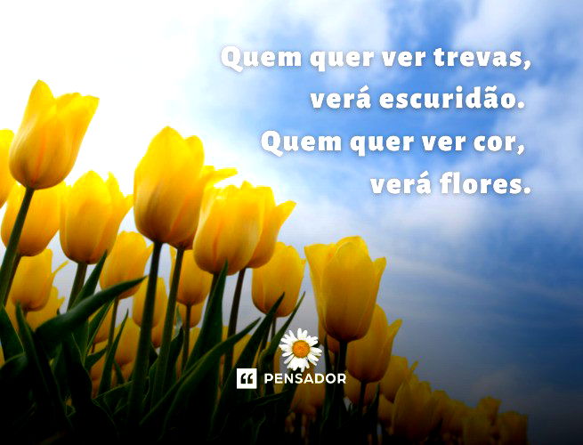 Flores e Frases