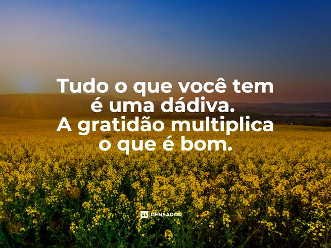Tudo o que você tem é uma bênção. 