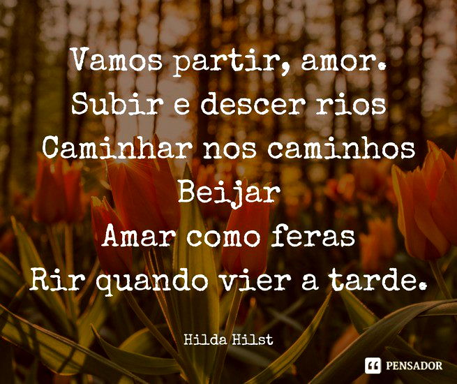 vamos partir amor