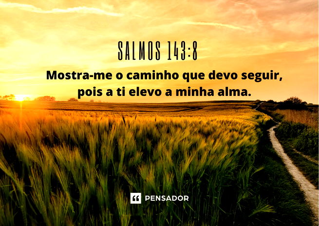 Mostra-me o caminho que devo seguir, pois a ti elevo a minha alma. Salmos 143:8