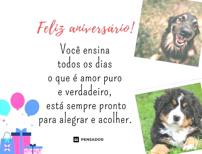 Você ensina todos os dias o que é amor puro e verdadeiro, está sempre pronto para alegrar e acolher.