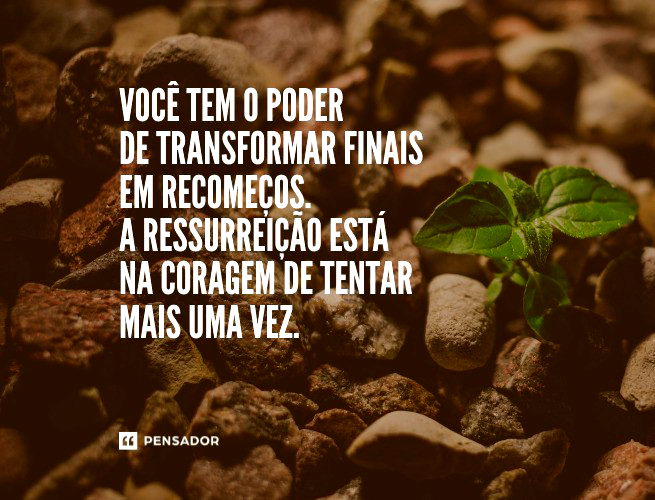 Você tem o poder de transformar finais em recomeços. A ressurreição está na coragem de tentar mais uma vez. 