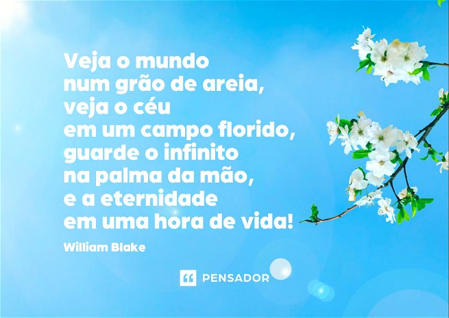 Veja o mundo num grão de areia, veja o céu em um campo florido, guarde o infinito na palma da mão, e a eternidade em uma hora de vida!William Blake