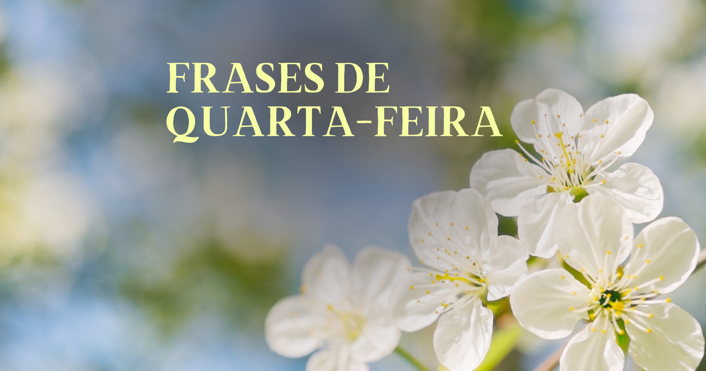 Feliz Quarta Feira