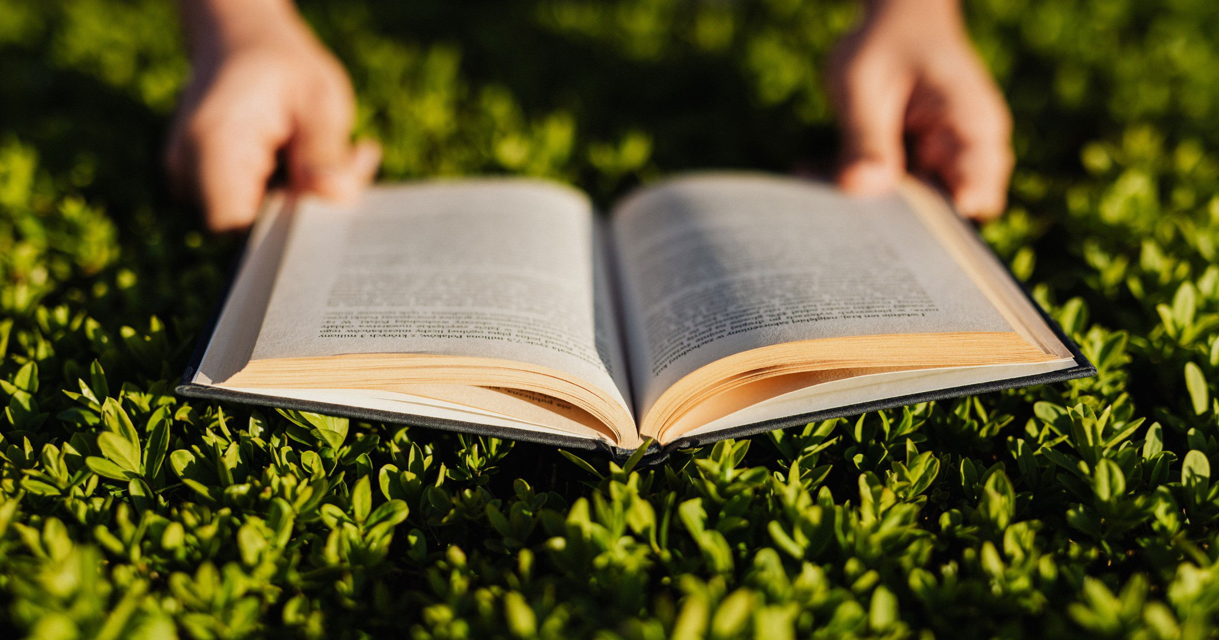 Crônicas curtas - Pensador