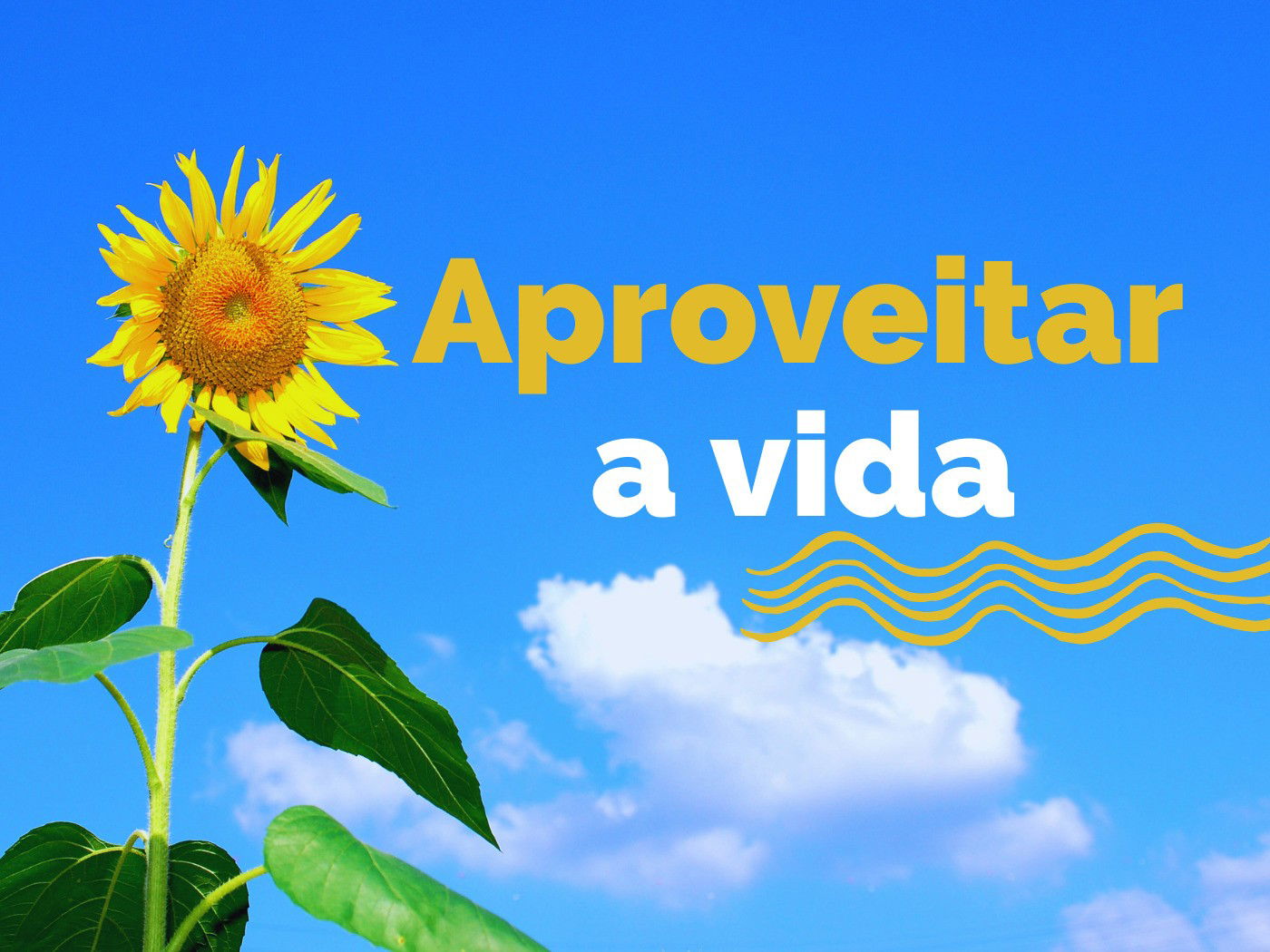 Que na vida o hoje, tem que aproveitar, pq, eu não sei se o amanhã há