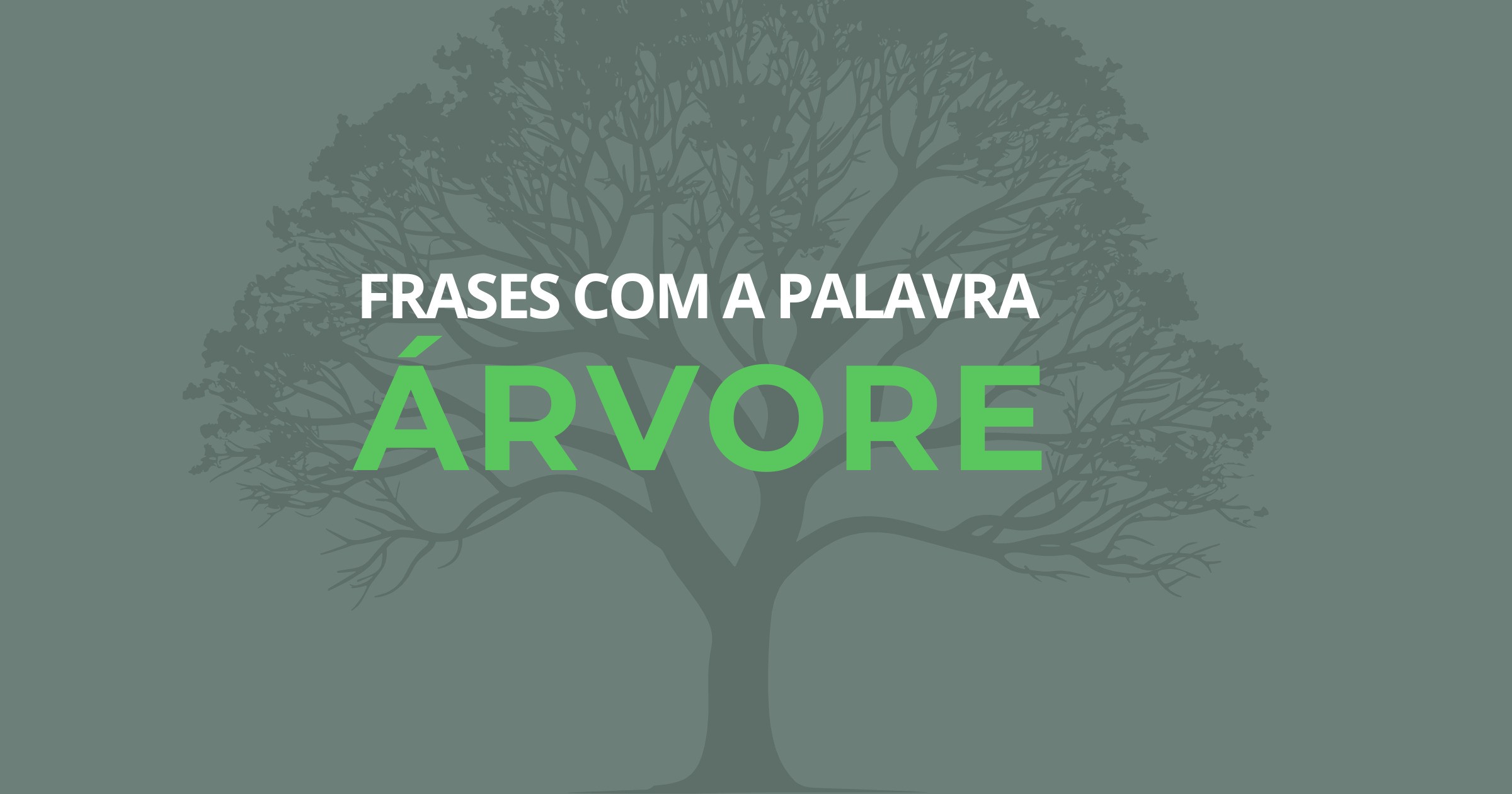 Frases com a palavra árvore para inspirar e ensinar - Pensador