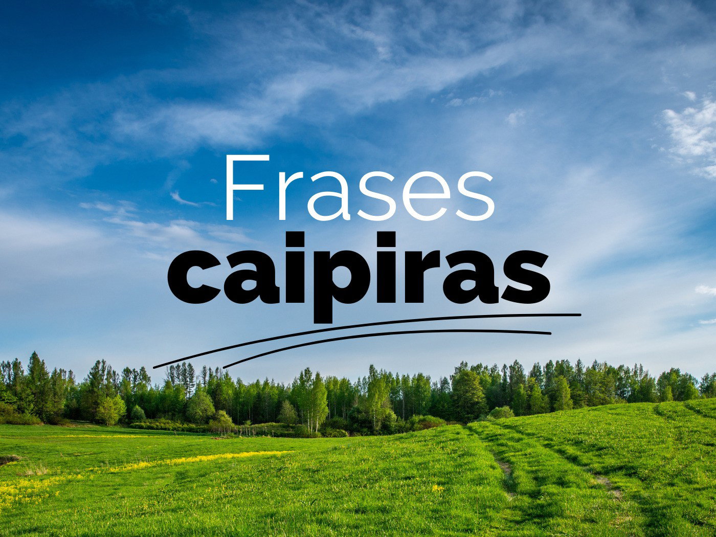 Frases caipiras para quem ama a vida na roça 🌾🐄🌻 - Pensador