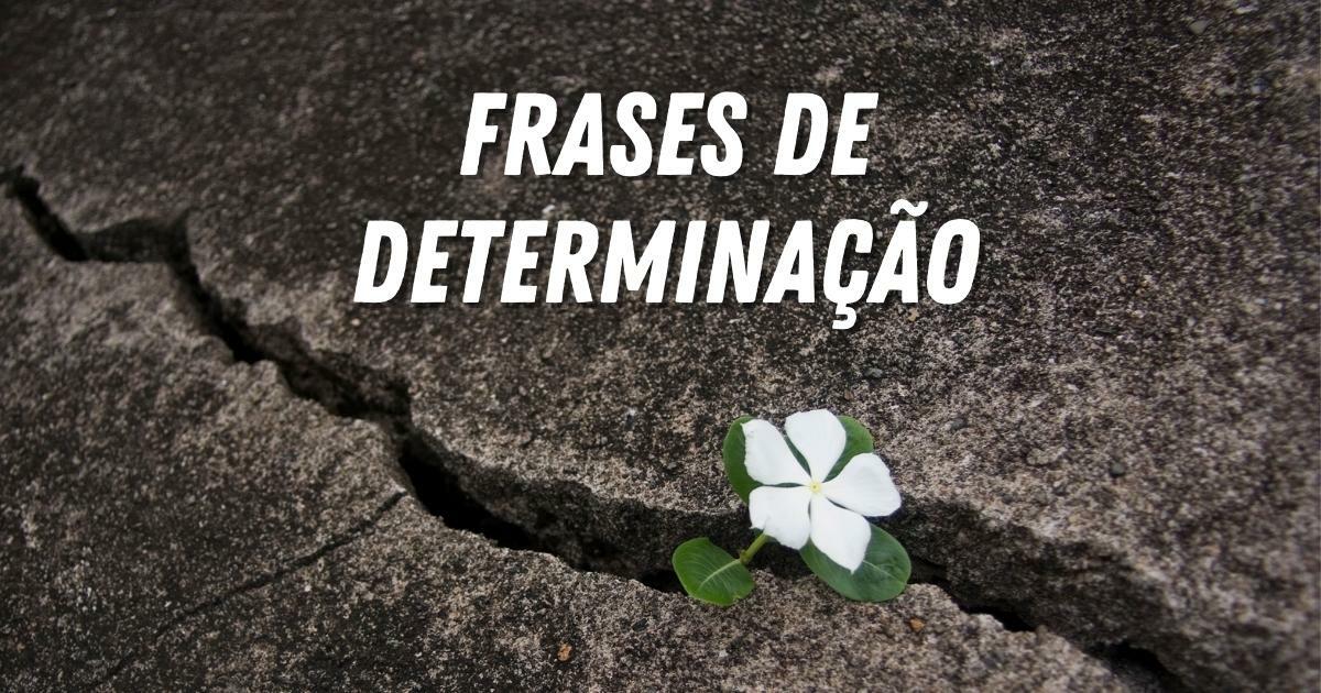 210 imagens de frases para usar no status do WhatsApp - Positivo do seu  jeito