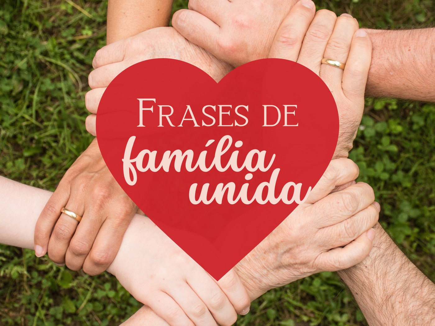 47 frases de família unida que mostram a força do amor (2) - Pensador