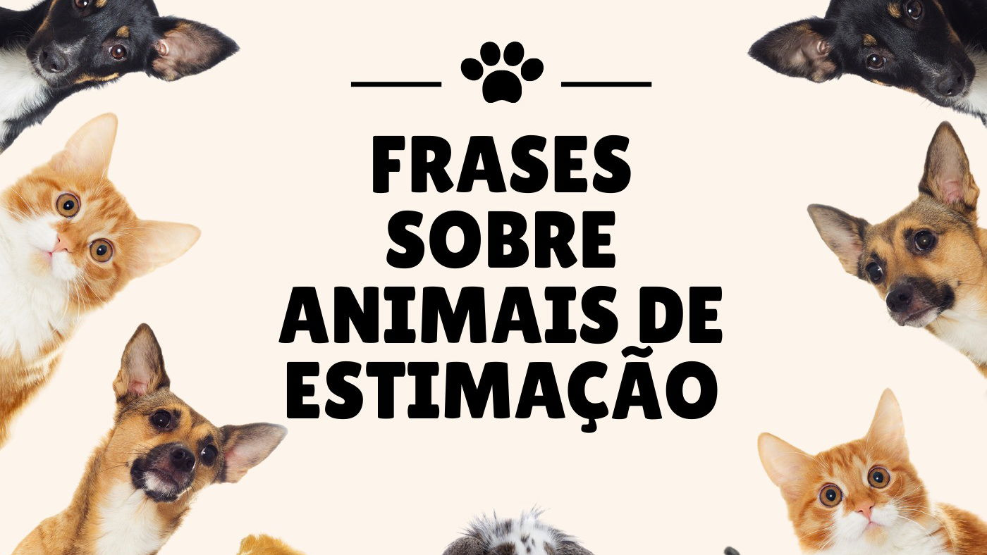 Frases sobre animais de estimação que falam dessa parceria única - Pensador