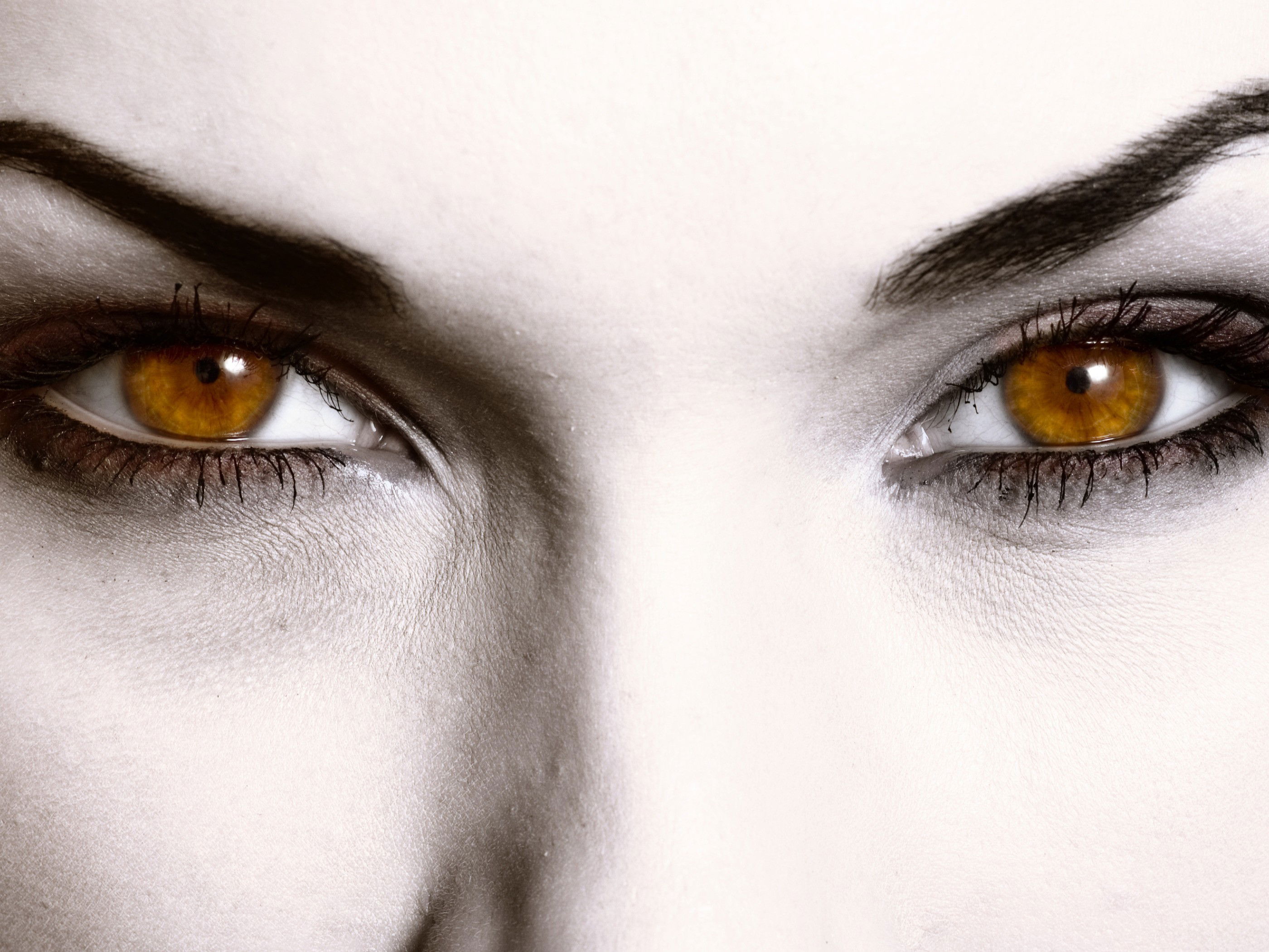 Глаз картинка. Все о взгляде и глазах. Все о взгляде и глазах. Все о взгляде и глазах. Прямой взгляд.