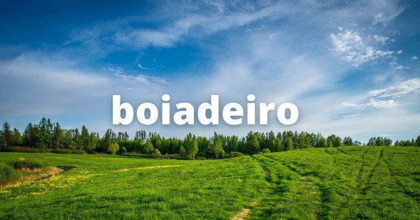 Frases de boiadeiro para todo sertanejo - Pensador