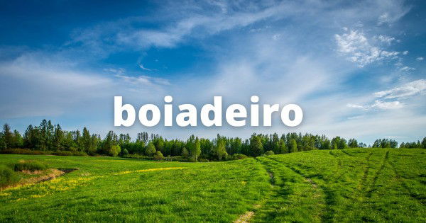 Frases de rodeio que celebram a força e a tradição do sertanejo - Pensador