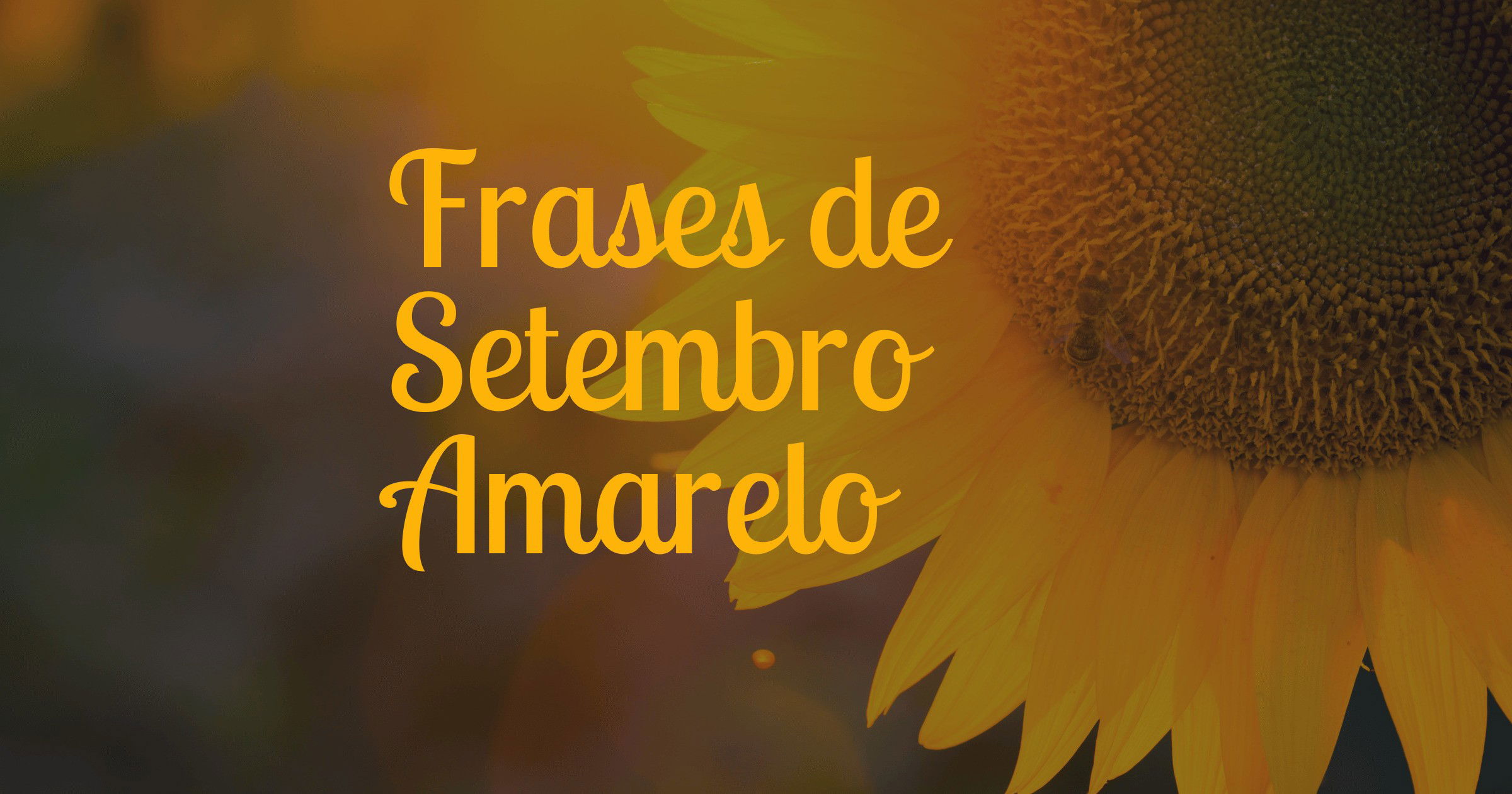 56 frases de Setembro Amarelo para motivar a não desistir Pensador