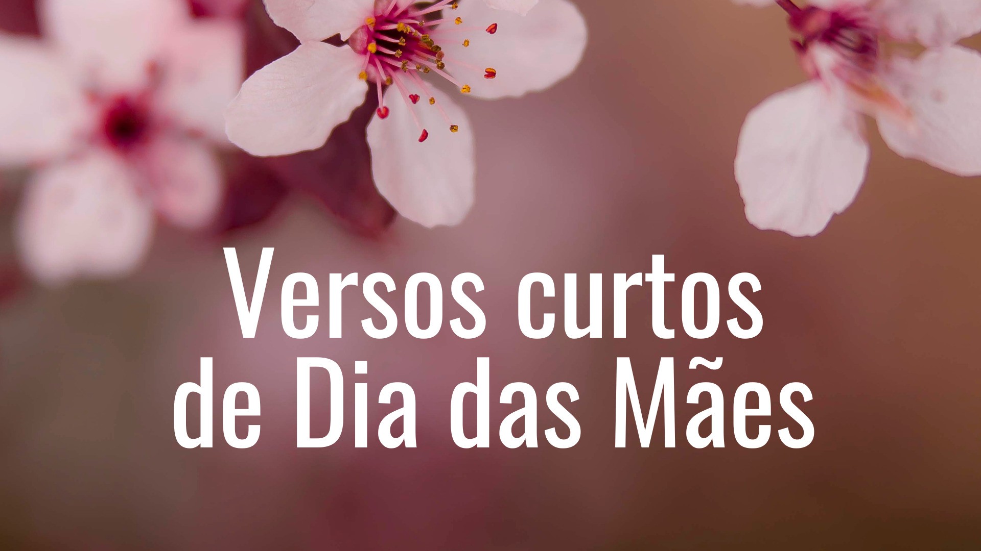 70 versos e textos curtos de Dia das Mães para homenagear com carinho ...