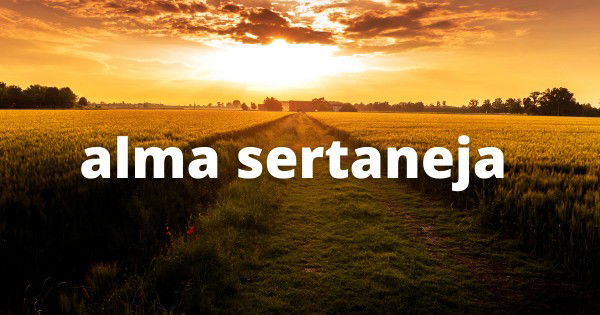 Frases de boiadeiro para todo sertanejo - Pensador